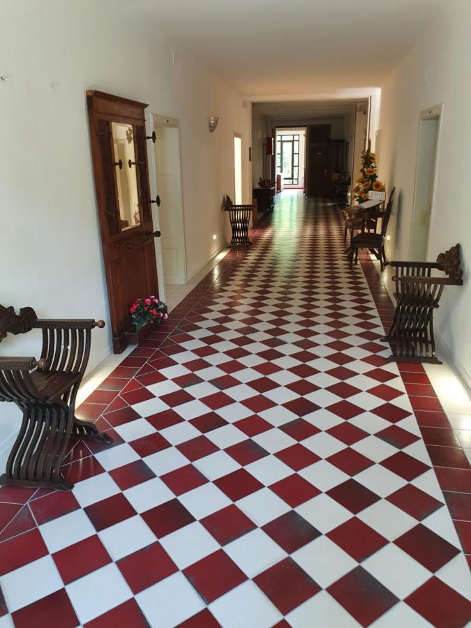 ליצאנו אין בלוודרה Hotel Ristorante Nappini מראה חיצוני תמונה