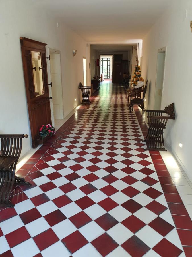 ליצאנו אין בלוודרה Hotel Ristorante Nappini מראה חיצוני תמונה